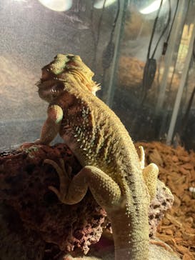 Moff animal world MARK IS みなとみらい店に投稿された画像（2021/10/29）