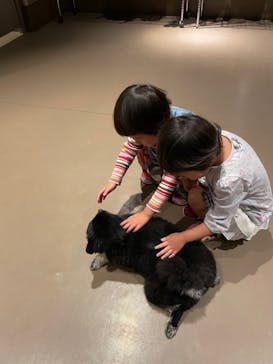 Moff animal world MARK IS みなとみらい店に投稿された画像（2021/10/29）