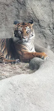 神戸どうぶつ王国に投稿された画像（2021/10/29）