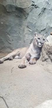 神戸どうぶつ王国に投稿された画像（2021/10/29）