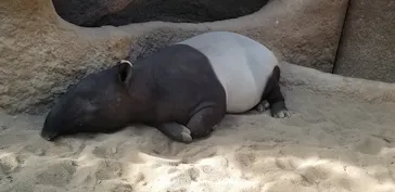 神戸どうぶつ王国に投稿された画像（2021/10/29）