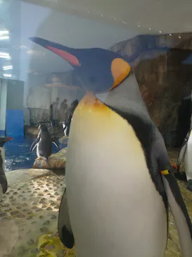 仙台うみの杜水族館に投稿された画像（2021/10/29）