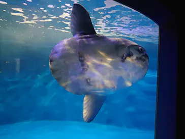 仙台うみの杜水族館に投稿された画像（2021/10/29）