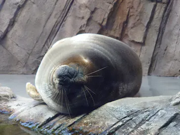 仙台うみの杜水族館に投稿された画像（2021/10/29）