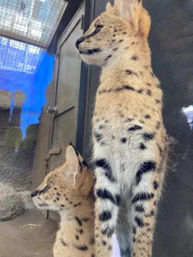 神戸どうぶつ王国に投稿された画像（2021/10/29）