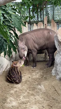 神戸どうぶつ王国に投稿された画像（2021/10/29）