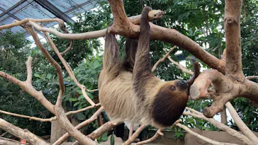 神戸どうぶつ王国に投稿された画像（2021/10/29）