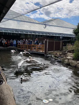 神戸どうぶつ王国に投稿された画像（2021/10/29）