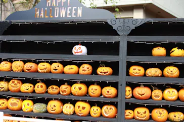 ひらかたパークに投稿された画像（2021/10/29）