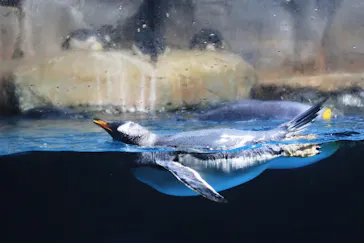 横浜・八景島シーパラダイスに投稿された画像（2021/10/29）