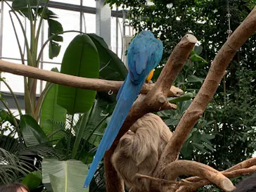 神戸どうぶつ王国に投稿された画像（2021/10/29）