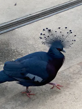 神戸どうぶつ王国に投稿された画像（2021/10/29）