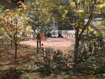 特別展「縄文2021―東京に生きた縄文人―」(江戸東京博物館）に投稿された画像（2021/10/29）