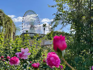 ひらかたパークに投稿された画像（2021/10/29）