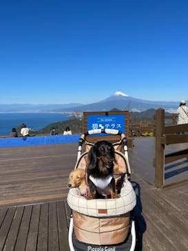 伊豆パノラマパークに投稿された画像（2021/10/29）