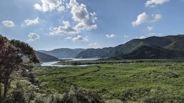 マングローブ茶屋に投稿された画像（2021/10/29）