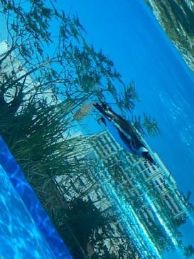 サンシャイン水族館に投稿された画像（2021/10/29）