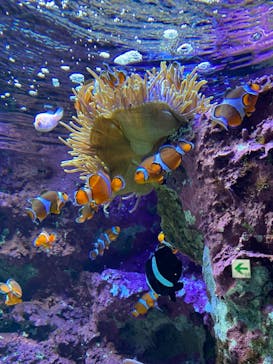 サンシャイン水族館に投稿された画像（2021/10/29）