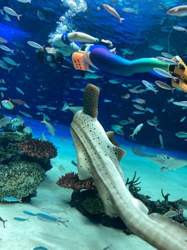 サンシャイン水族館に投稿された画像（2021/10/29）