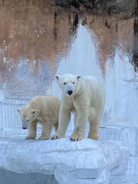 天王寺動物園に投稿された画像（2021/10/29）