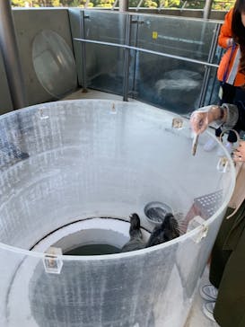 しながわ水族館に投稿された画像（2021/10/30）