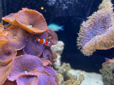 京都水族館に投稿された画像（2021/10/30）