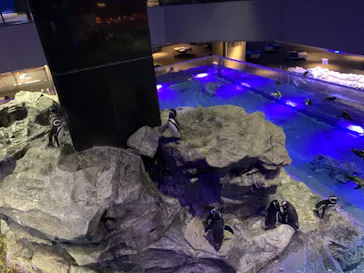 すみだ水族館に投稿された画像（2021/10/30）