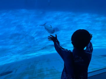 名古屋港水族館に投稿された画像（2021/10/30）