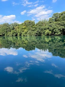 カヌーリゾートたまよどに投稿された画像（2021/10/30）