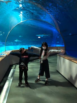 島根県立 しまね海洋館に投稿された画像（2021/10/30）