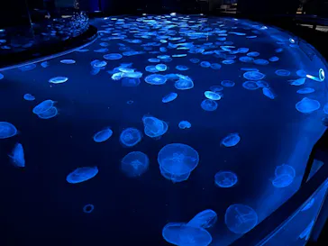 すみだ水族館に投稿された画像（2021/10/30）