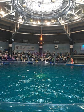 マクセル アクアパーク品川に投稿された画像（2021/10/30）