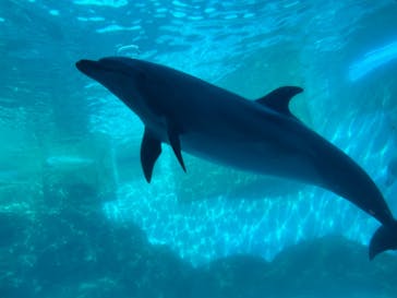 名古屋港水族館に投稿された画像（2021/10/30）