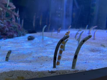 名古屋港水族館に投稿された画像（2021/10/30）