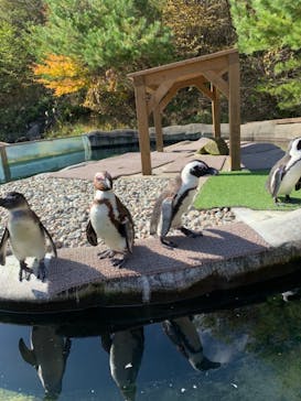 那須どうぶつ王国に投稿された画像（2021/10/30）