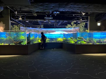 カワスイ 川崎⽔族館に投稿された画像（2021/10/30）