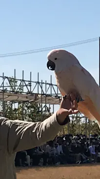 神戸どうぶつ王国に投稿された画像（2021/10/30）