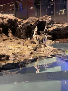 すみだ水族館に投稿された画像（2021/10/30）