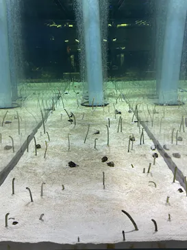 すみだ水族館に投稿された画像（2021/10/30）