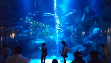 すみだ水族館に投稿された画像（2021/10/30）