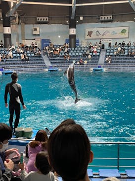 マクセル アクアパーク品川に投稿された画像（2021/10/30）