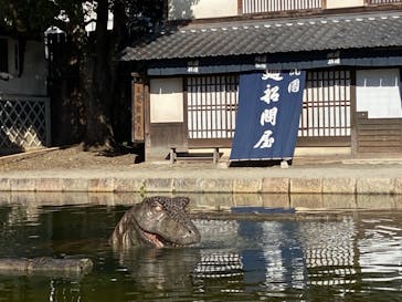 東映太秦映画村に投稿された画像（2021/10/30）