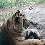 よこはま動物園ズーラシアに投稿された画像（2021/10/30）