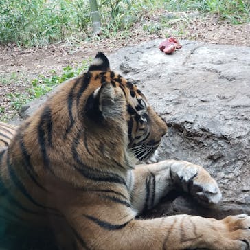 よこはま動物園ズーラシアに投稿された画像（2021/10/30）