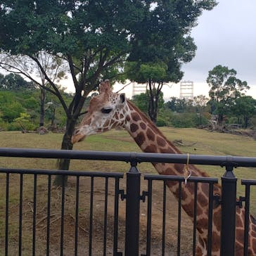 よこはま動物園ズーラシアに投稿された画像（2021/10/30）