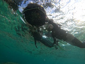 武藤潜水に投稿された画像（2021/10/30）