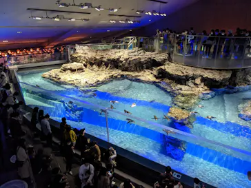 すみだ水族館に投稿された画像（2021/10/30）