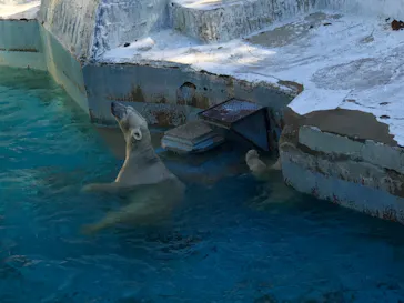 天王寺動物園に投稿された画像（2021/10/30）