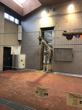 天王寺動物園に投稿された画像（2021/10/30）