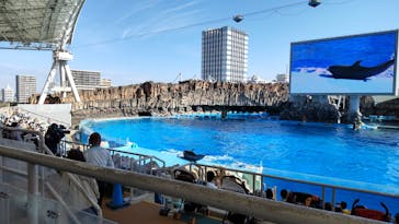 名古屋港水族館に投稿された画像（2021/10/30）
